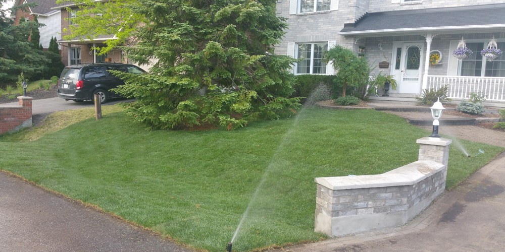 re-sodded front lawn in ottawa